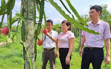 Lãnh đạo Phòng Giao dịch NHCSXH huyện Trấn Yên kiểm tra tình hình sử dụng vốn vay tại xã Y Can.