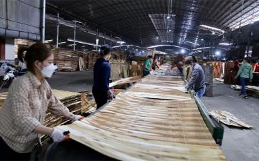 Sản xuất ván ép tại Công ty cổ phần Junma Yên Bái, xã Xuân Ái, huyện Văn Yên.