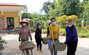 Thầy cô các trường học trên địa bàn huyện Văn Chấn tích cực dọn dẹp, chỉnh trang khuôn viên, cảnh quan trường lớp chuẩn bị đón năm học mới.
