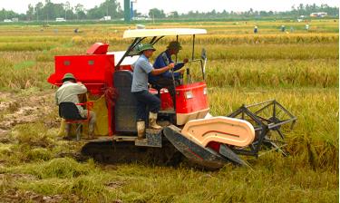 Giá trị xuất khẩu gạo của Việt Nam thời gian vừa qua tăng mạnh do nhu cầu của thế giới tăng. Ảnh: Phạm Hùng