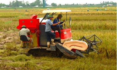Giá trị xuất khẩu gạo của Việt Nam thời gian vừa qua tăng mạnh do nhu cầu của thế giới tăng. Ảnh: Phạm Hùng