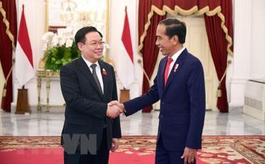 Chủ tịch Quốc hội Vương Đình Huệ hội kiến với Tổng thống Indonesia Joko Widodo.