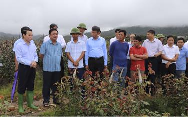 Bộ trưởng Bộ NN và PTNT Lê Minh Hoan cùng các đồng chí lãnh đạo tỉnh Yên Bái thăm mô hình trồng hoa hồng tại xã Nậm Khắt, huyện Mù Cang Chải