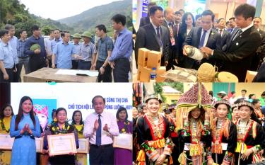 dafabet khuyến mãi