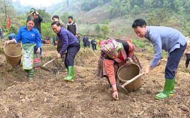 Đồng chí Đỗ Đức Duy - Ủy viên Ban Chấp hành Trung ương Đảng, Bí thư Tỉnh ủy, Trưởng đoàn Đoàn đại biểu Quốc hội tỉnh (bên phải) và lãnh đạo huyện Trạm Tấu cùng người dân trồng khoai sọ nương.