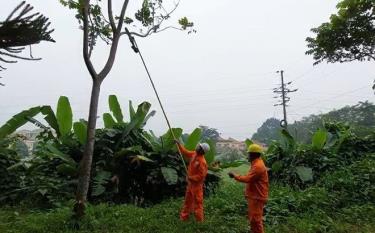 Bộ dao cắt tỉa cây sử dụng điều khiển từ xa phát quang hành lang công trình điện áp dụng vào công việc.