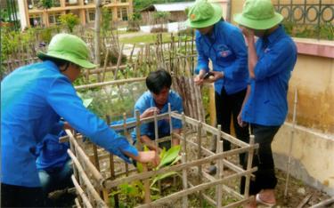 Thanh niên tình nguyện với chương trình 