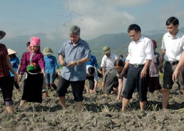 Bí thư Tỉnh ủy Đỗ Văn Chiến tham gia trồng cây ngô vụ đông với nhân dân phường Tân An.