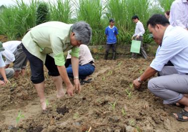 Bí thư Tỉnh ủy Đỗ Văn Chiến tham gia trồng ngô vụ đông tại cánh đồng thôn Chanh Yên, xã Vĩnh Kiên, huyện Yên Bình.