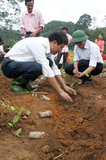 Các đồng chí lãnh đạo huyện Trấn Yên tham gia trồng chè.