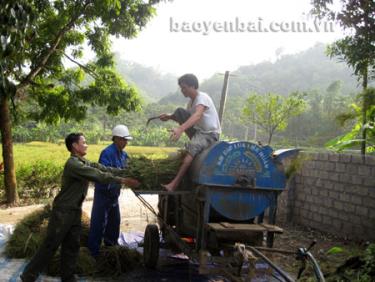 Quy hoạch vùng sản xuất gắn với cơ giới hóa nông nghiệp là tiền đề phát triển nông nghiệp bền vững.