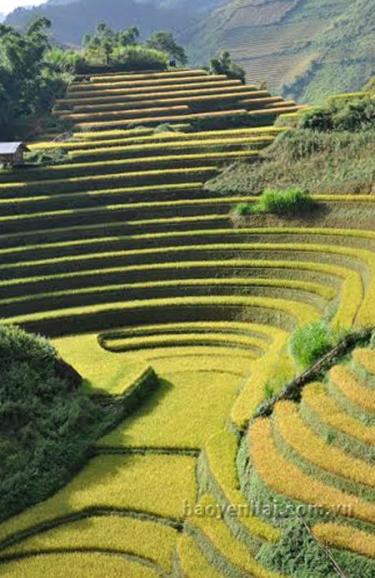 Ruộng bậc thang ở xã Chế Cu Nha.