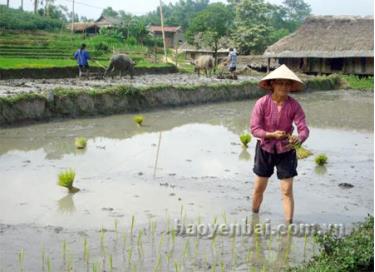 Nhờ phát huy vai trò các tổ đại biểu HĐND nên các Nghị quyết thông qua tại kỳ họp sát thực tế, được người dân ủng hộ.