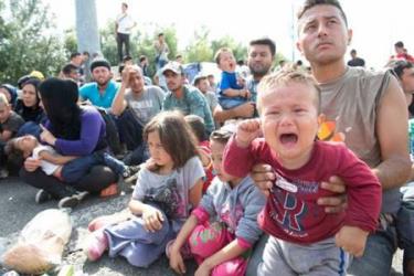 Hàng trăm người tị nạn tuyệt vọng vì bị chặn lại ở biên giới Serbia - Hungary.