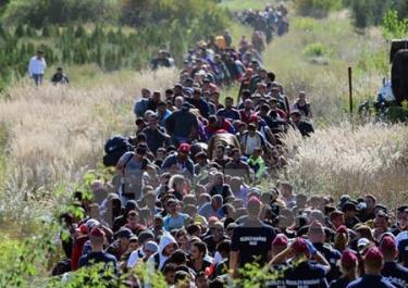 Người di cư tại khu vực biên giới Hungary-Croatia, gần làng Zakany của Hungary ngày 21/9.