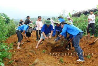 Thanh niên tình nguyện giúp dân mở đường tại xã Nậm Có, huyện Mù Cang Chải. (Ảnh: Tô Anh Hải)