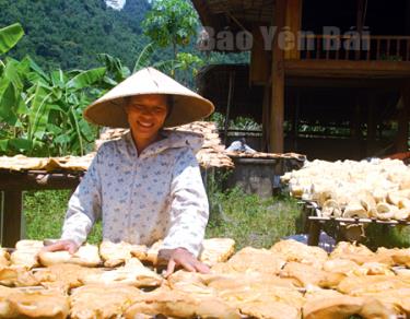 Người dân xã Lâm Thượng sơ chế măng mai sau thu hoạch.