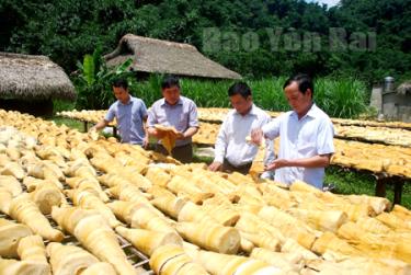 Lãnh đạo xã Lâm Thượng kiểm tra sản phẩm măng mai tại thôn Bản Khéo.
