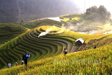 Ruộng bậc thang Mù Cang Chải là nguồn cảm hứng sáng tác cho nhiều nghệ sỹ nhiếp ảnh.
(Ảnh: Thu Chung)