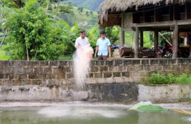 Ngoài phát huy tốt vai trò bí thư chi bộ trong lãnh đạo, chỉ đạo, ông Nông Đình Xuân (bên trái) còn tích cực phát triển kinh tế gia đình.