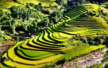 Ruộng bậc thang Mù Cang Chải (Ảnh: Thanh Miền)