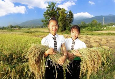 Mường Lò - miền quê “gạo trắng nước trong”.