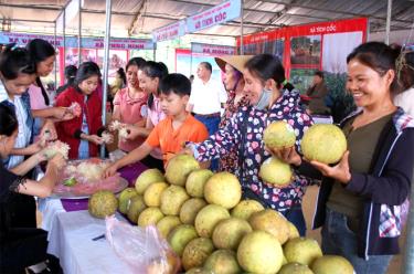 Lễ hội Bưởi Đại Minh và đua thuyền trên hồ Thác Bà góp phần đưa thương hiệu bưởi Đại Minh vươn xa ra thị trường trong và ngoài tỉnh.