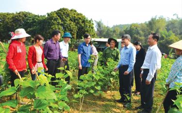 Đổi mới tư duy, phương thức lãnh đạo, vai trò trách nhiệm và nêu gương của người đứng đầu cấp ủy nhiệm kỳ qua được đề cao. (Ảnh: Lãnh đạo huyện Văn Chấn kiểm tra tình hình sản xuất tại cơ sở).