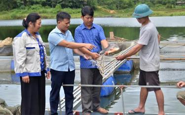 Lãnh đạo xã Phan Thanh trao đổi với nông dân thôn Làng Ro về phát triển nuôi cá lồng.