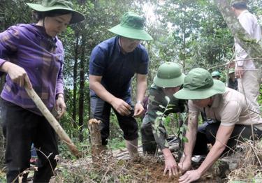 Ông Giàng A Câu - Chủ tịch Hội Nông dân tỉnh cùng hội viên trồng sơn tra tại xã Bản Công, huyện Trạm Tấu.