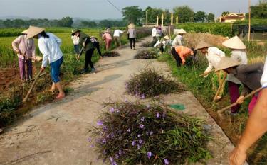 Toàn huyện đã thành lập và duy trì 190 đoạn đường phụ nữ tự quản bảo vệ môi trường xanh, sạch, đẹp; 56 mô hình chi hội phụ nữ “5 không 3 sạch”; xây dựng 650 tuyến đường hoa...