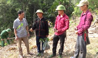 Anh Triệu Văn Lý (người thứ 2, trái sang) - Phó Bí thư Chi bộ, Trưởng bản Vàng Ngần, xã Suối Quyền, huyện Văn Chấn chia sẻ kinh nghiệm trồng quế với người dân trong bản. (Ảnh: Thu Hạnh)