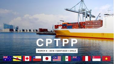 Việc gia nhập CPTPP cần phải có sự phê chuẩn của tất cả 11 quốc gia thành viên hiện nay.
