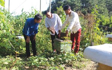 Thành viên Tổ hợp tác Nuôi ong mật, xã Púng Luông chia sẻ kinh nghiệm giúp nhau nuôi ong lấy mật hiệu quả.