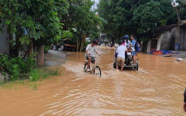 Mưa lũ gây ngập lụt ở huyện Chương Mỹ, Hà Nội