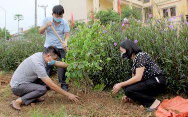 Lãnh đạo thành phố Yên Bái tham gia trồng cây xanh tại khu vực bờ kè Sở Tư pháp. (Ảnh Thu Trang)