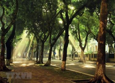 Ảnh minh họa