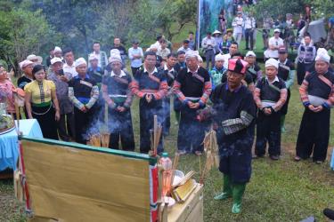 Lễ cúng cây chè Tổ.