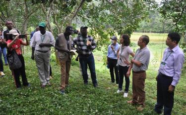 Đoàn đại biểu thăm mô hình trang trại ông Nguyễn Huy Khôi, xã Phú Thịnh, huyện Yên Bình.