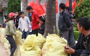 Nông dân bản Háng Gàng, xã Lao Chải đưa táo mèo ra bán tại thị trấn Mù Cang Chải.