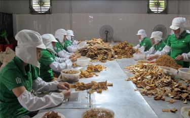 Processing bamboo shoots for export at Yen Thanh joint Stock Company, Yen Binh district.
