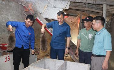 Lãnh đạo xã Hưng Thịnh thăm mô hình nuôi dúi của anh Đinh Xuân Linh, thôn Yên Thành.