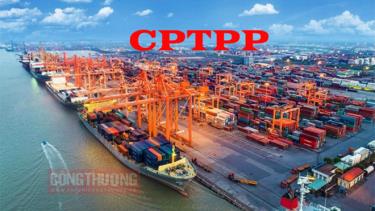 Tỷ lệ sử dụng Giấy chứng nhận xuất xứ CPTPP (C/O CPTPP) của hầu hết các mặt hàng xuất khẩu chủ lực của Việt Nam năm 2022 tiếp tục tăng trưởng tích cực và tăng đáng kể so với năm 2021.