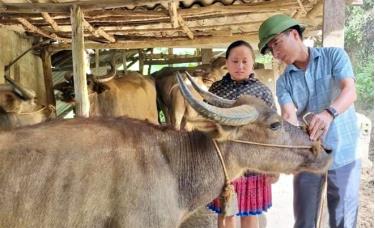 Lãnh đạo huyện Trạm Tấu kiểm tra mô hình chăn nuôi ở cơ sở.