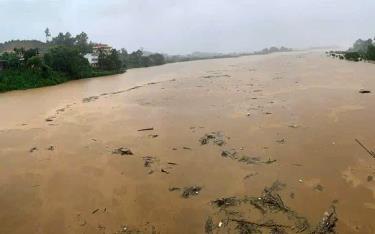 Lũ trên sông Thao tại Yên Bái đang lên nhanh, mực nước lúc 16h ngày 8/9 là 31,77m.