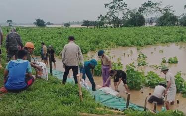 Trấn Yên huy động người dân tham gia gia cố bảo vệ đê bao đề phòng nước sông Hồng dâng cao.