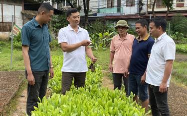 Lãnh đạo Công ty TNHHMTVLN Ngòi Lao trao đổi với công nhân và người dân kỹ thuật trồng, chăm sóc cây keo.