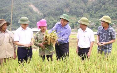 Đồng chí Giàng A Thào - Bí thư Huyện ủy, Chủ tịch HĐND huyện Trạm Tấu cùng các đồng chí lãnh đạo huyện Trạm Tấu kiểm tra tình hình sản xuất lúa hàng hóa tại thôn Lừu, xã Hát Lừu.