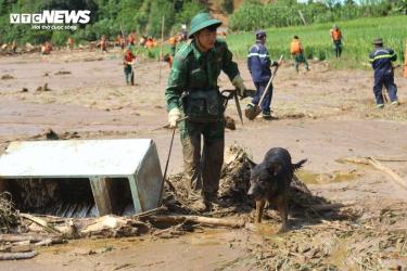 Chó nghiệp vụ sục bùn tìm người mất tích ở Làng Nủ.