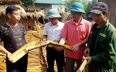 Nhờ các chương trình tín dụng chính sách, nhiều hộ dân ở xã An Lương, huyện Văn Chấn có vốn để phát triển sản xuất và trồng quế.